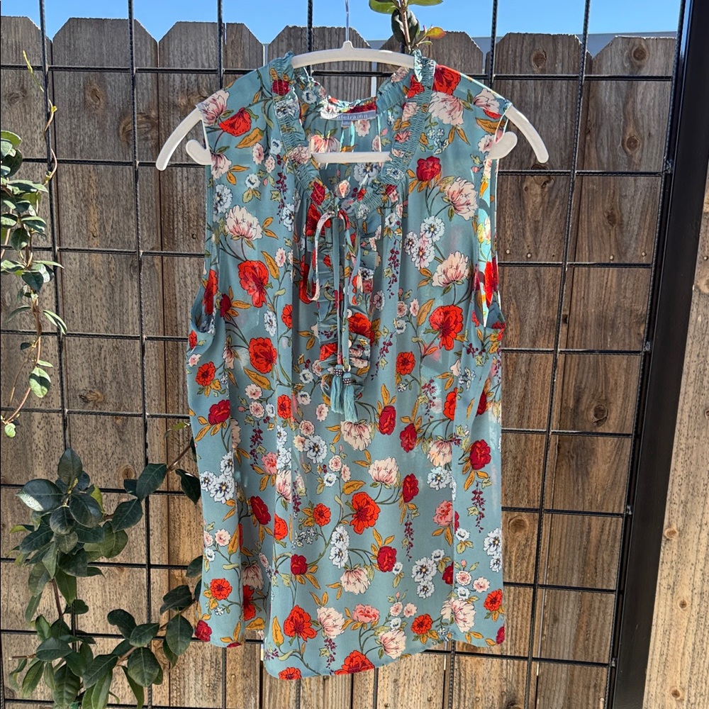 Daniel Rainn Floral Sleeveless Blouse - Teal and Red